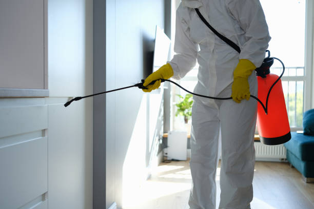 Trusted Pembroke, NC Mold Removal Experts